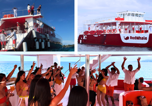 【海】洋巡禮:珊瑚花園浮潛&海鮮燒烤BBQ(可加價升等紅鯨號豪華遊艇趴)→風帆船巡弋