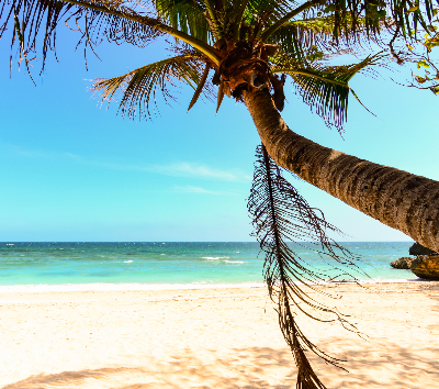 The Sunny Side Cafe 輕食海景早午餐→沙灘美照拍不完(Puka貝殼沙灘+星期五沙灘+聖母礁岩+布拉博沙灘)