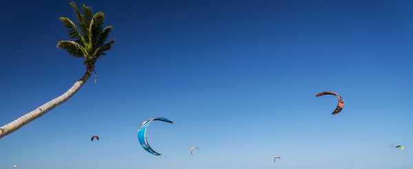 陸上活動日:Puka貝殼沙灘+星期五沙灘+聖母礁岩+布拉博沙灘(打卡斜槓椰子樹)→風帆船→漢娜麗晶自助晚餐